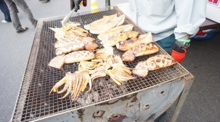 DSC02076.jpg