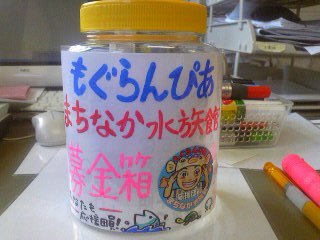 110805_1509431.jpg