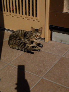 111014_0923531.jpg