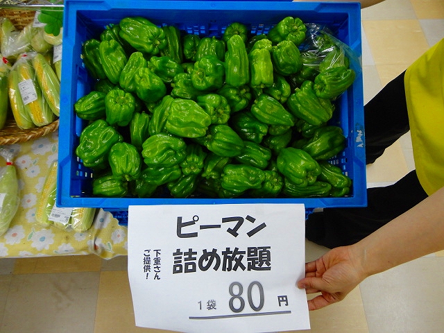 DSC02077.jpg