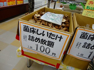 DSC02097.jpg