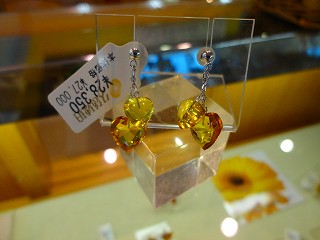 DSC02220.jpg