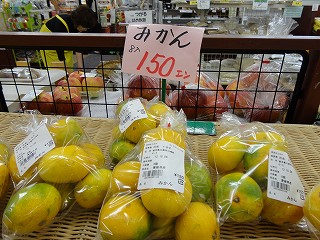 DSC02510.jpg