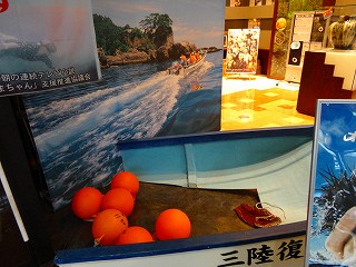DSC03805.jpg