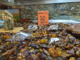 DSC03984.jpg