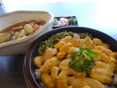 DSC04024.jpg