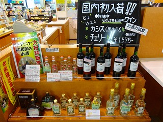 DSC04048.jpg