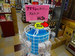 DSC04456.jpg