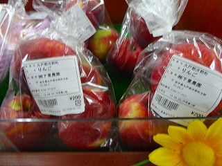 DSC04507s-.jpg