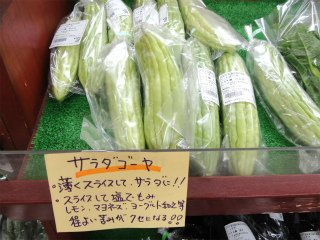 DSC04528.jpg