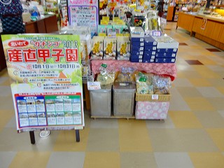 DSC04846.jpg