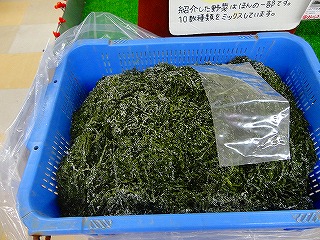 DSC05288.jpg
