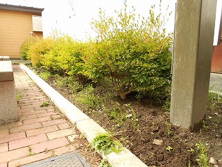 DSCN0077.jpg