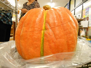 DSCN0376.jpg