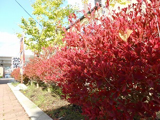 DSCN0469.jpg