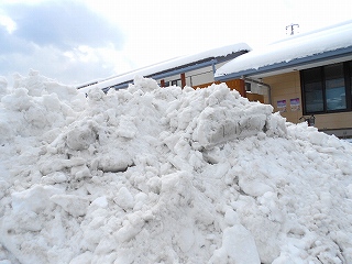 DSCN1717.jpg