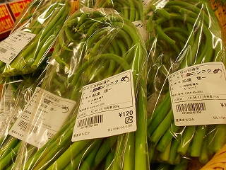 DSCN2700.jpg