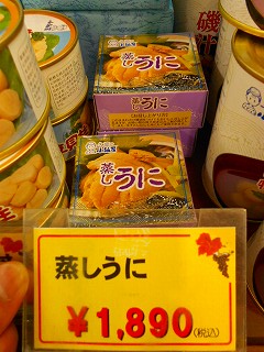 DSCN6600.jpg