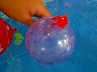 DSCN6765.jpg