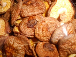 DSCN7006.jpg