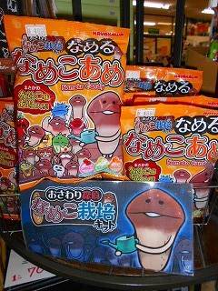 DSCN7033.jpg