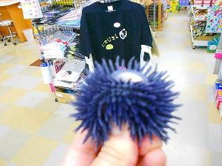 DSCN7204.jpg