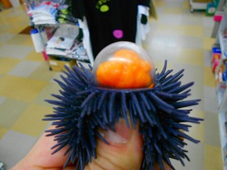 DSCN7206.jpg