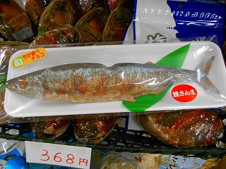 DSCN7216.jpg