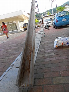 DSCN7402.jpg