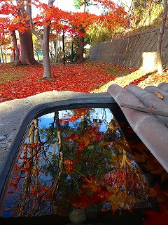 DSC_0213.jpg