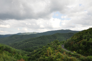 DSC_2346.jpg