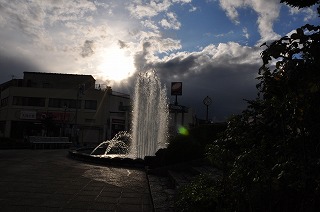 DSC_3126.jpg