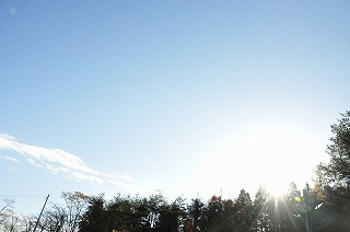 DSC_4692.jpg