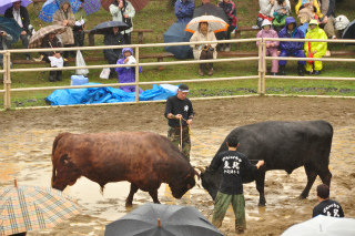 DSC_8462.jpg