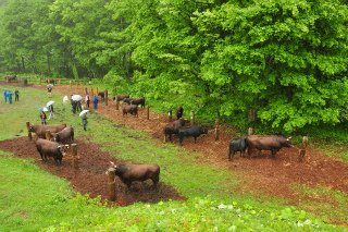 DSC_8466.jpg