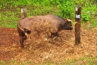 DSC_8479.jpg
