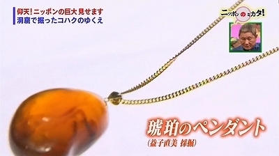 ニッポンのミカタ!琥珀ペンダント.jpg