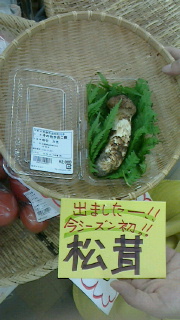 松茸.jpg