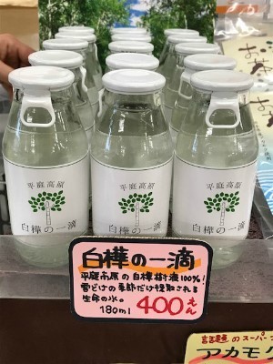 樹液.jpg