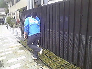 踏み.jpg