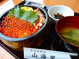 鮭といくらの親子丼 千円 (19).jpg