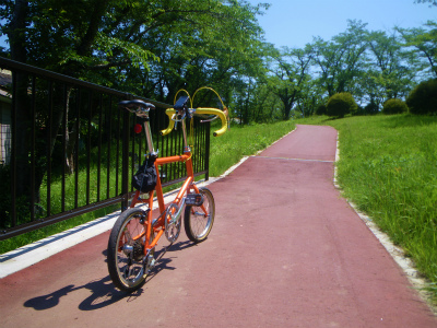 IMGP0083.jpg