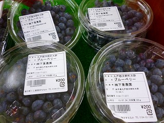 P1010801s-.jpg