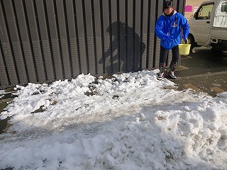 P1020052.jpg
