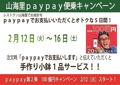 Paypayサービス設定-1.jpg