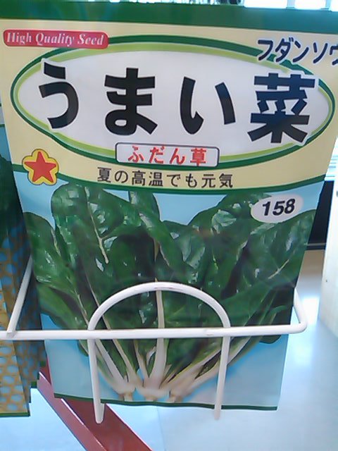 菜