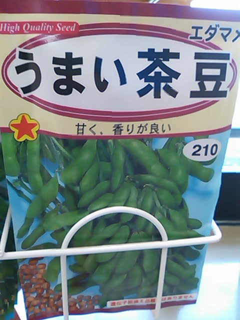 チャマメ
