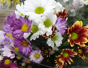 cDSC05202.jpg