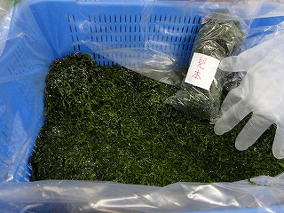 dDSC05170.jpg
