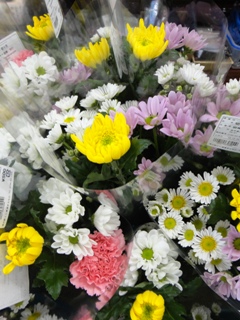 dDSC05198.jpg